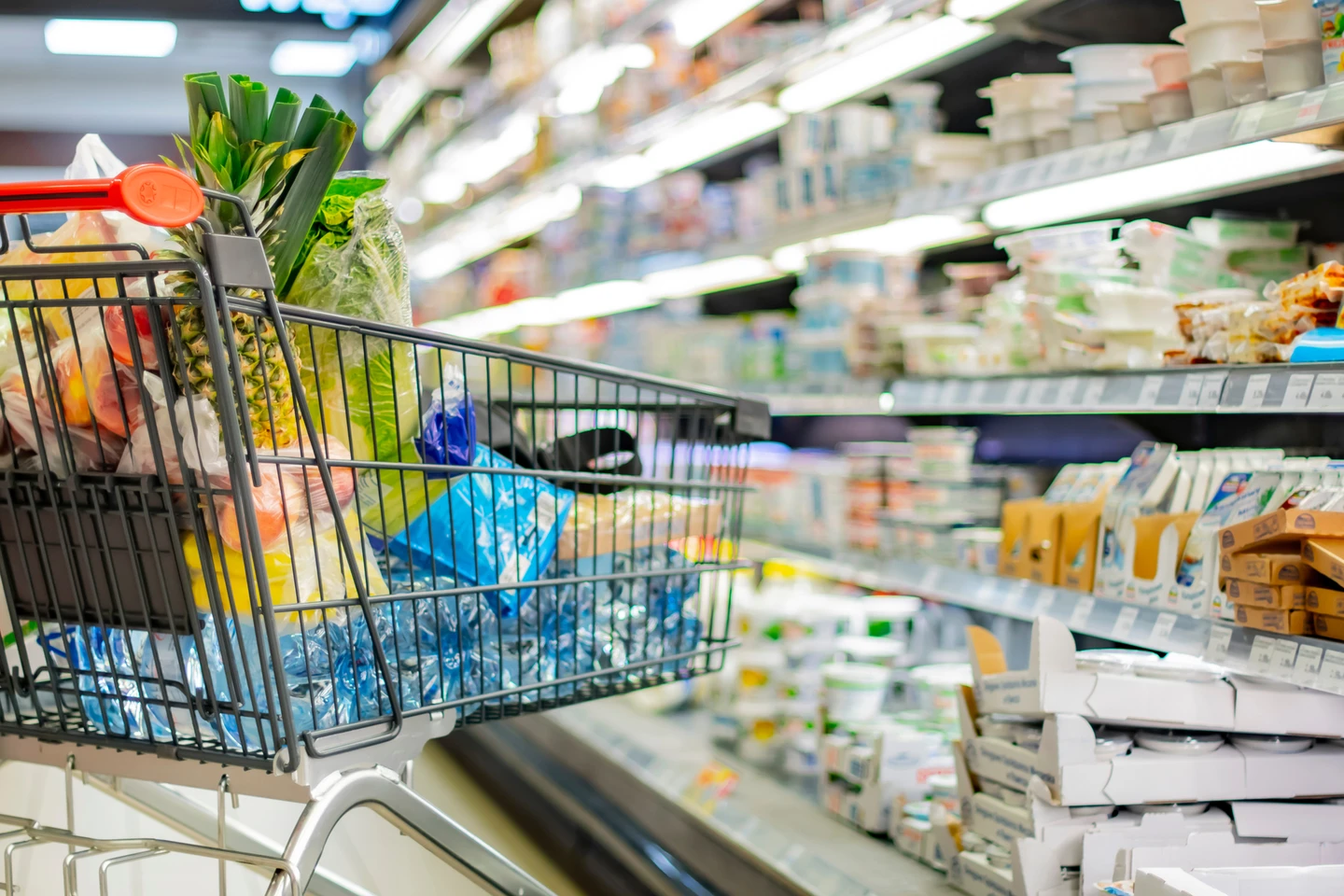 Comercio y Retail