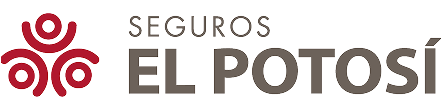 seguros el potosi